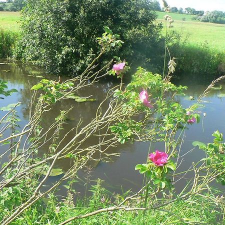 Gite De L'Aure Trevieres Ngoại thất bức ảnh