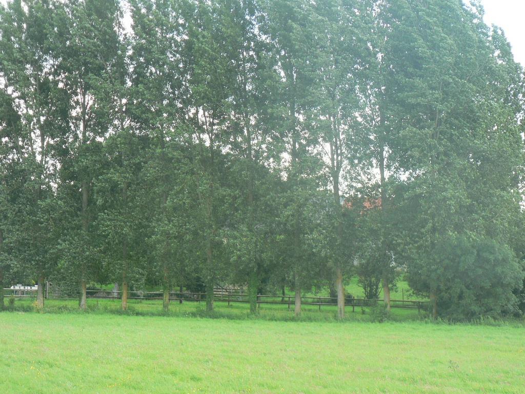 Gite De L'Aure Trevieres Ngoại thất bức ảnh