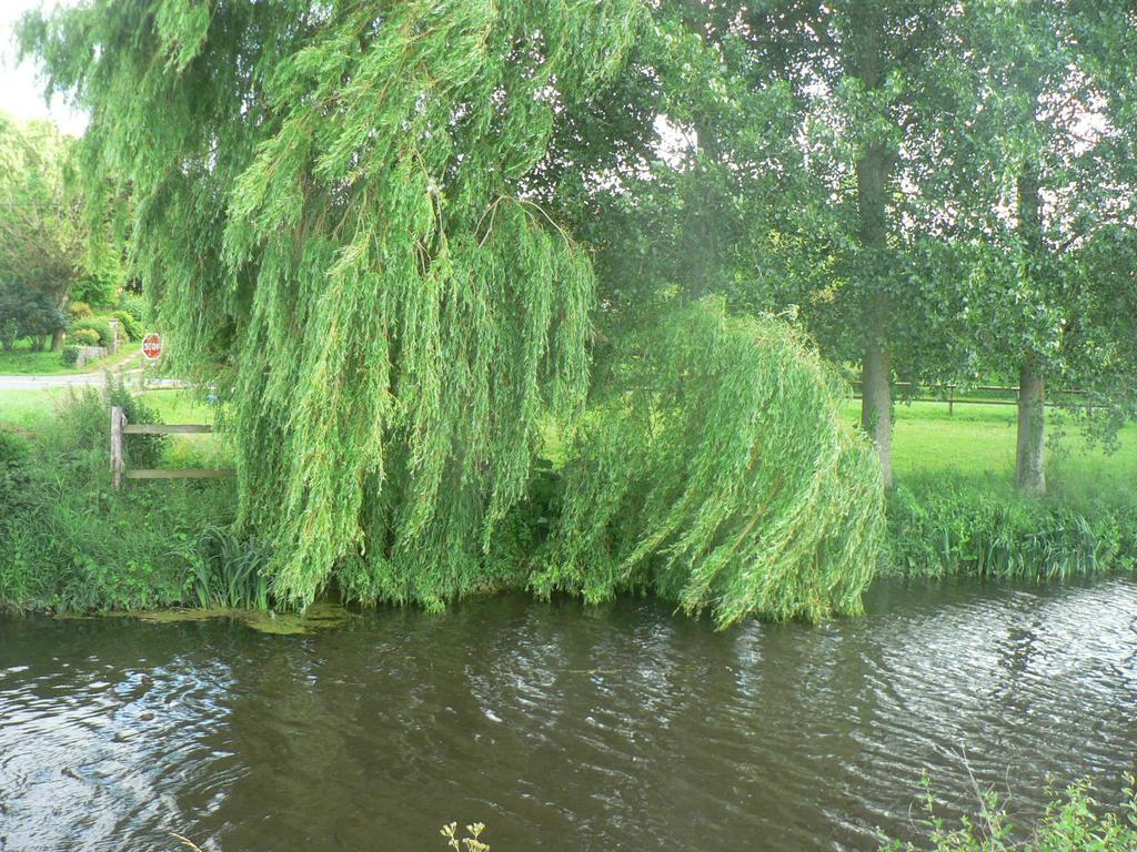 Gite De L'Aure Trevieres Ngoại thất bức ảnh