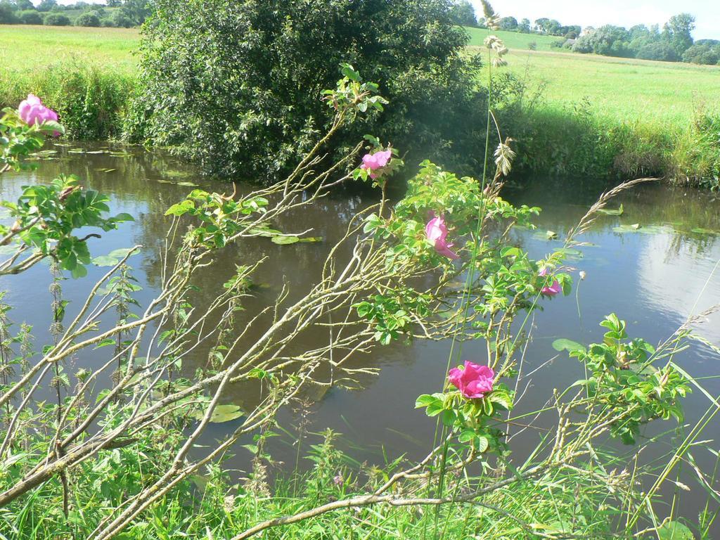 Gite De L'Aure Trevieres Ngoại thất bức ảnh